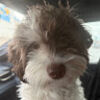 murphysmurphy1